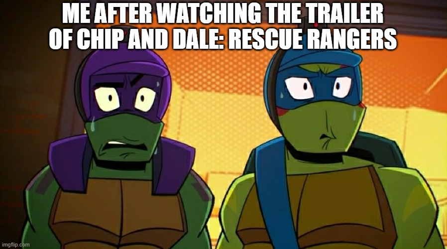 Tmnt Donnie Memes TMNT DONNIE FUGGLER Teenage Mutant Ninja Turtle