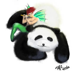 Panda Fairy