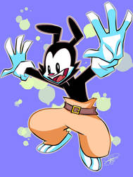 Animaniacs .:Yakko Warner:.