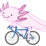 Axolotl on a Bicycle