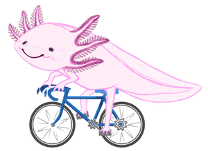 Axolotl on a Bicycle