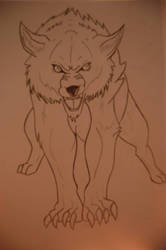 Angry Attackng Position Wolf.