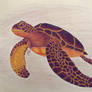 Pinky Purp Turt