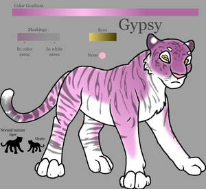 Gypsy - Tiger OC