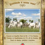 Brahman's October Ad.