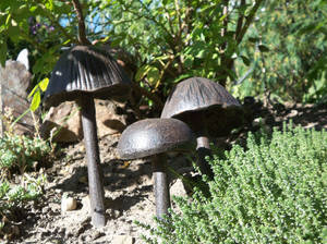 Metal Mushrooms