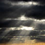 Sunrays Stock II