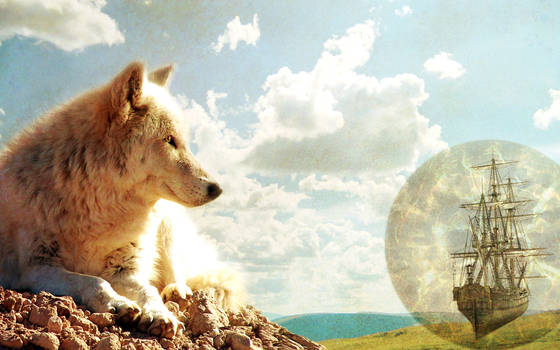 Wolves and Delusions