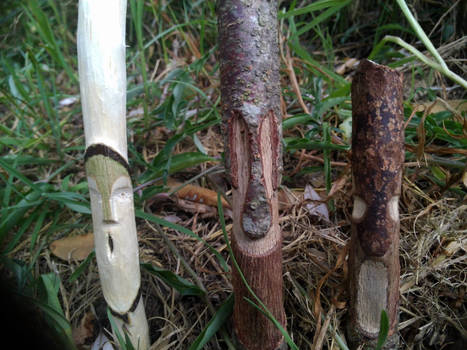 Whittled nature guardians