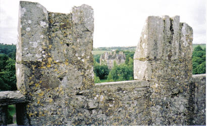 view from blarney