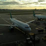 Aer Lingus planes on sunset