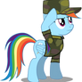 Rainbow Dash in uniform