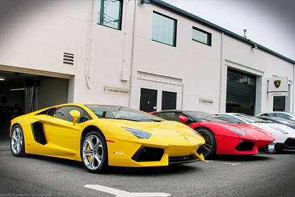 Aventador Friends