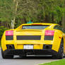 Gallardo