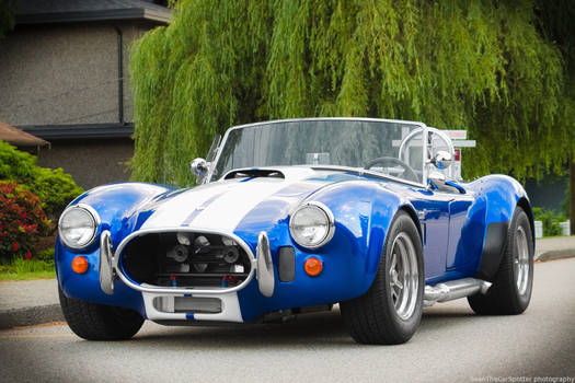 Shelby Cobra