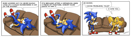 Hedgehogs and furniture