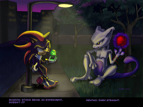 Shadow and Mewtwo