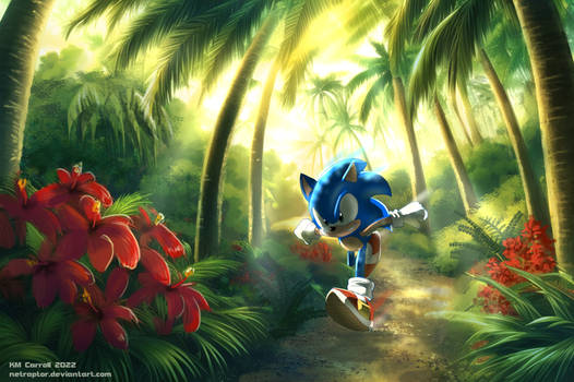 Sonic in the jungle