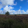 Hoog soeren