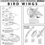 Bird Wings Tutorial