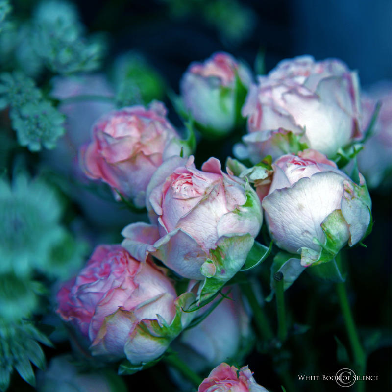The Light Inside by WhiteBook The Light Inside by WhiteBook