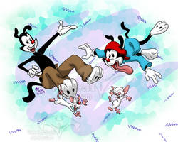 Yakko, Wakko, Pinky, and the Brain