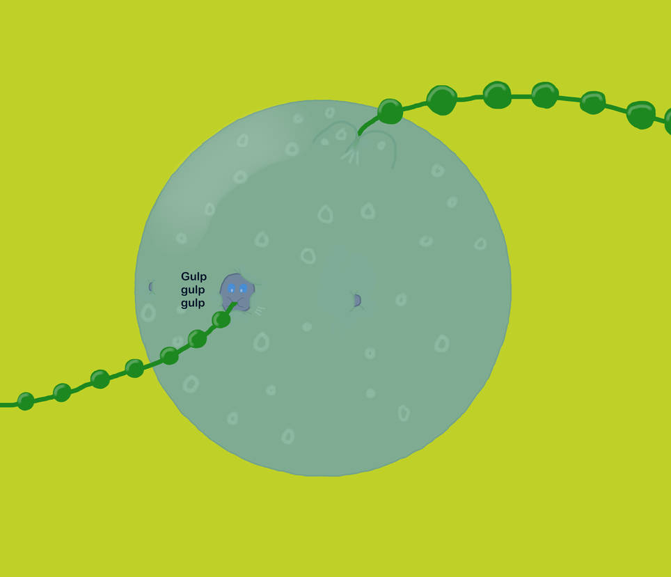 Water Inflation Animation Roly Inflating Rolywater with water! by PokedexAss4 on DeviantArt