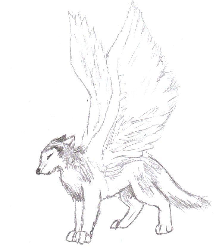 wolf angel by chow4life on DeviantArt