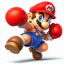 Boxer Mario 