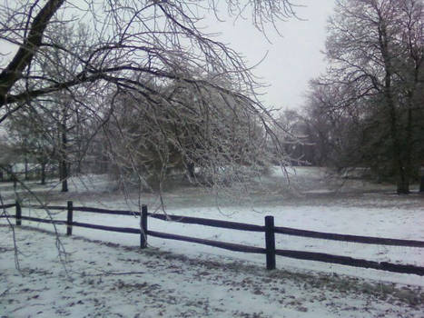 Iced Fence