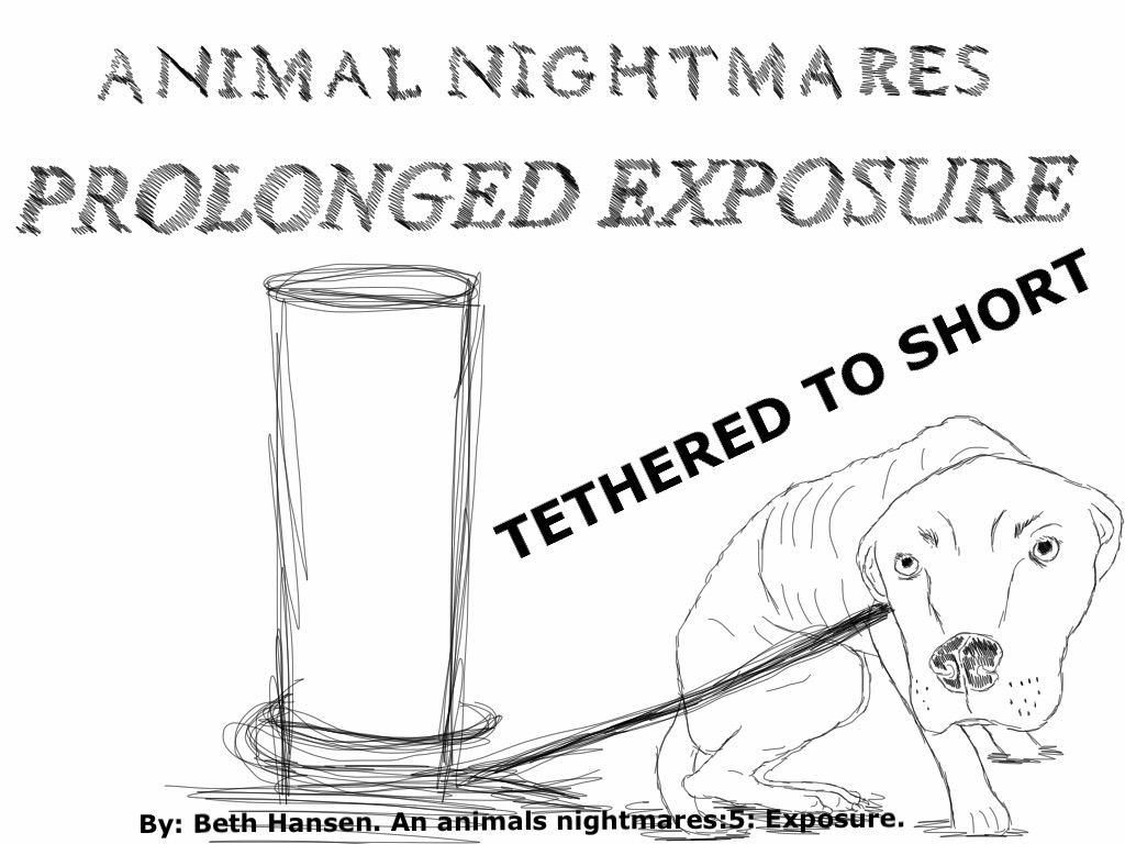 By: Beth Hansen. An animals nightmares:5: Exposure