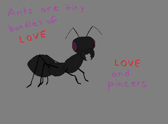 Ants are Just Bundles of Love