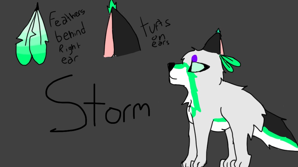 Storm reference sheet by Kohi-Koneko on DeviantArt