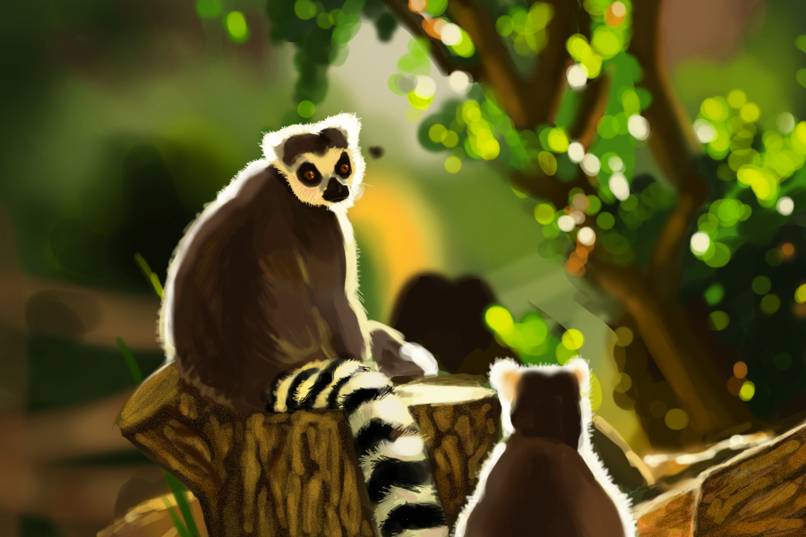 Speedpainting #5 - Ring-tailed Lemurs