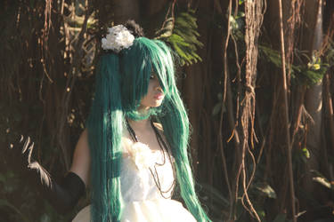 Camellia - Miku