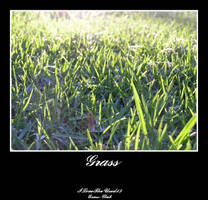 Grass