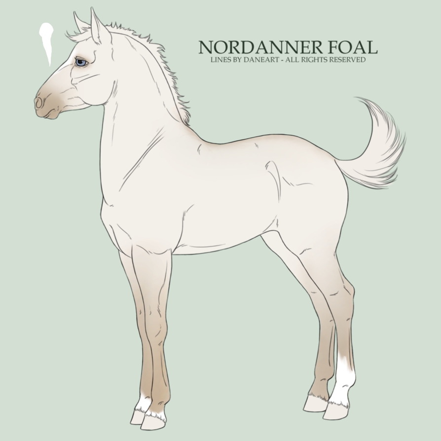 Nordanner Foal No. 391