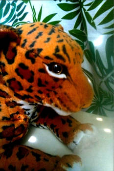 Victor the Leopard
