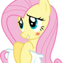 I think Fluttershy likes you