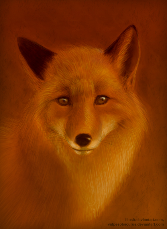 The fire fox