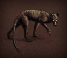 Dark thylacine