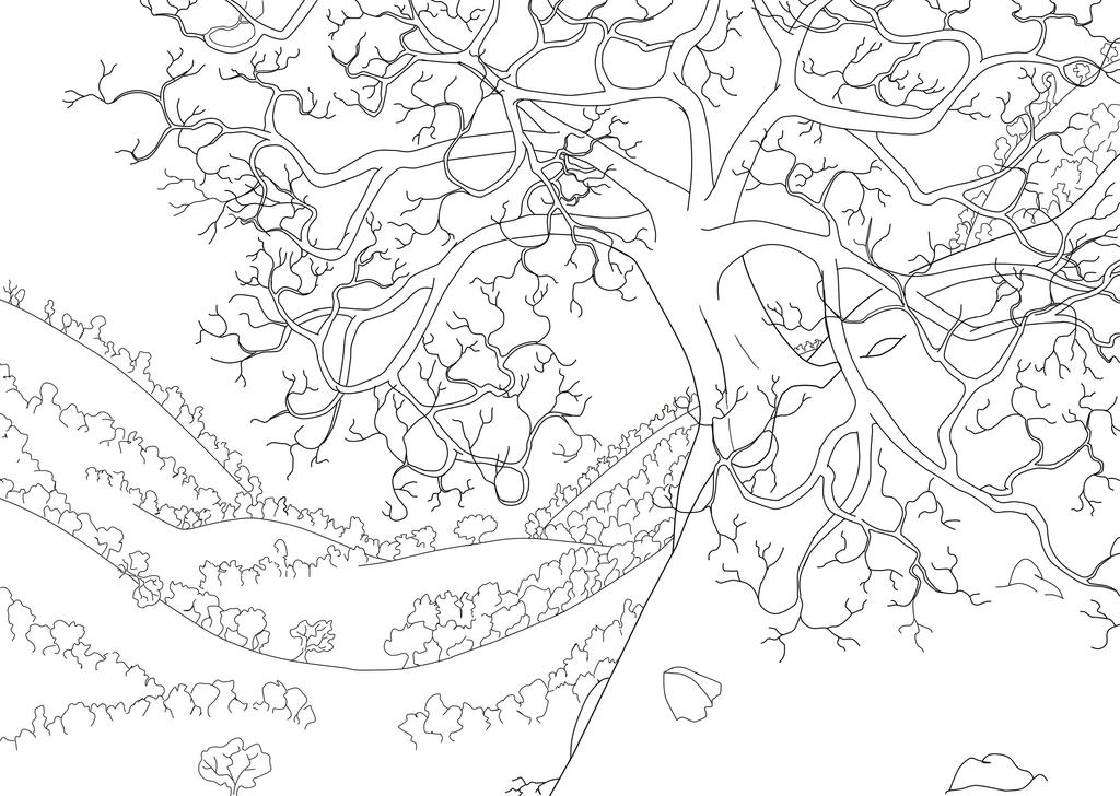 Tajkep A kiszarat fa (vonal rajz) by Mitsudomer on DeviantArt