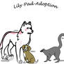 Lily-Pad-Adoption ID