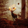 Fire Deer