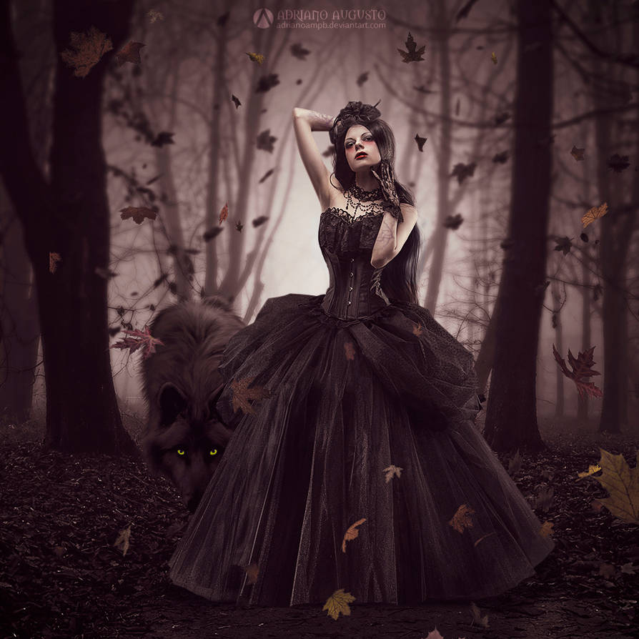 Woods by adrianoampb