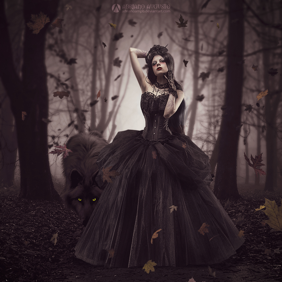Woods by adrianoampb