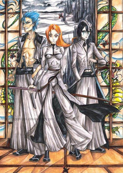 Arrancar threesome-Finished