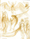 Zorn wing Feathers Sketch