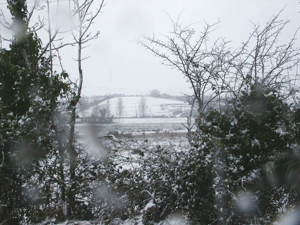 Hedged Opening Hedge opening by FunkyJo on DeviantArt