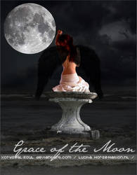 Grace of the Moon